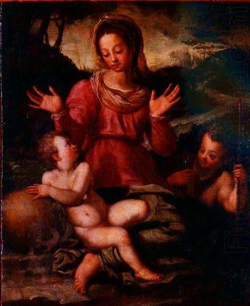 Andrea del Sarto Madonna and Child with St china oil painting image